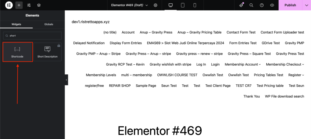 Display form entries